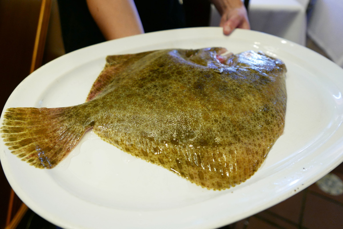 Turbot at Elkano