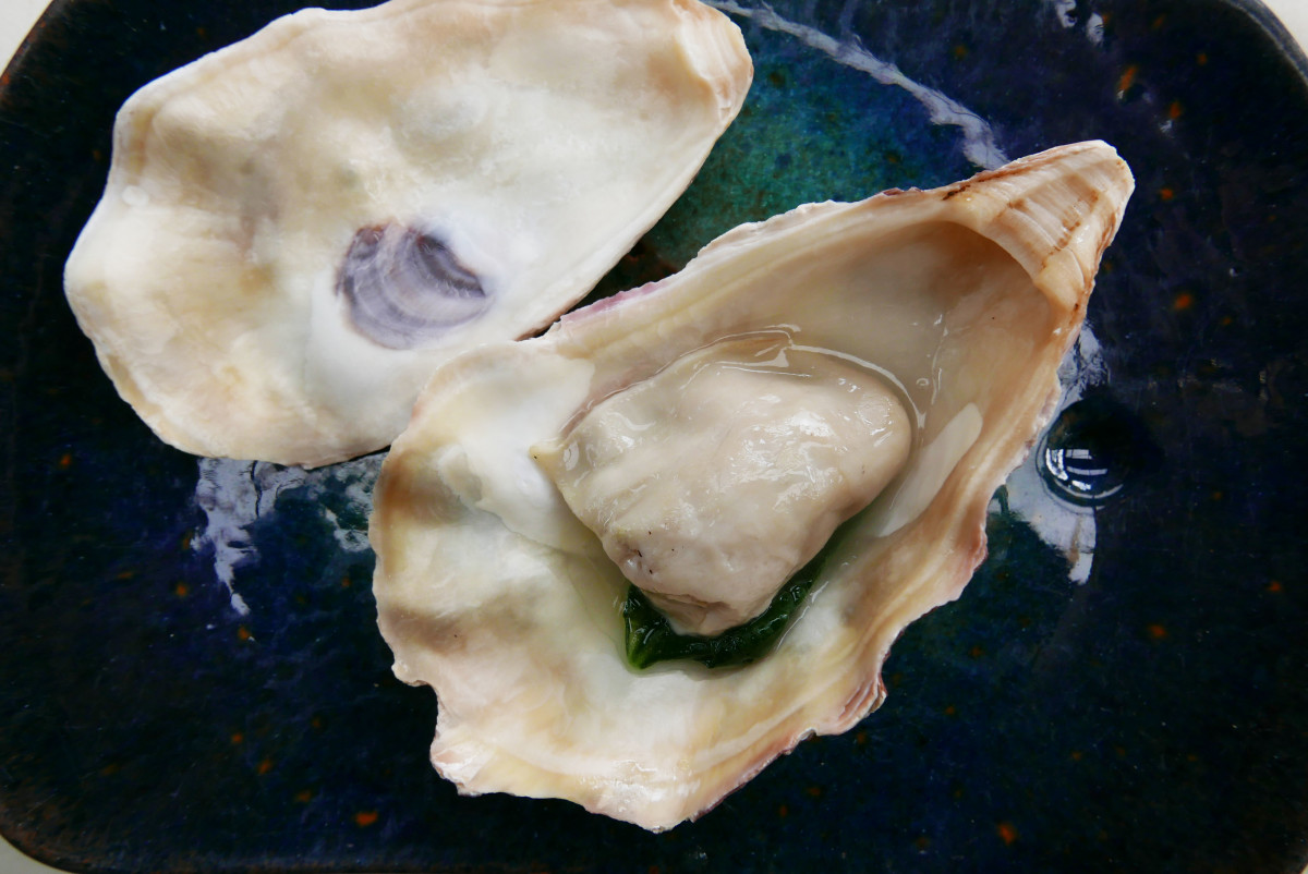 Oyster from Arcachon and spinach