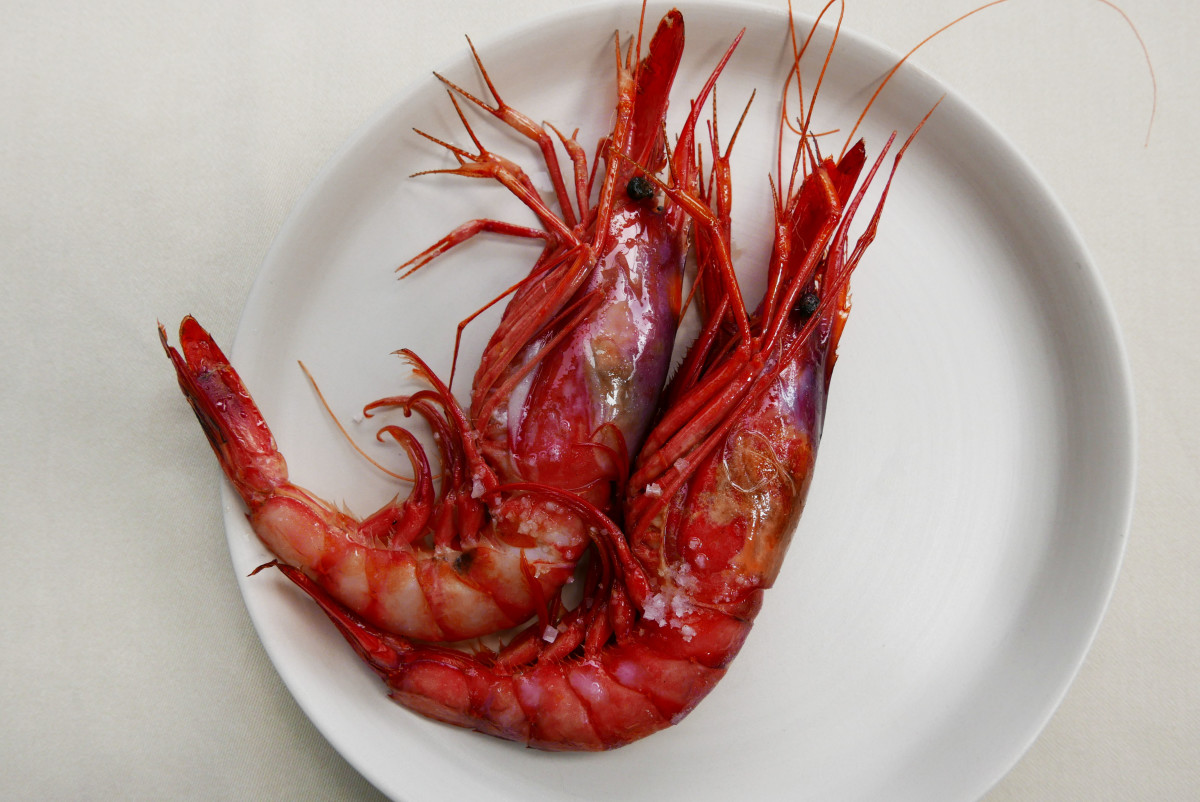 Palamos prawns