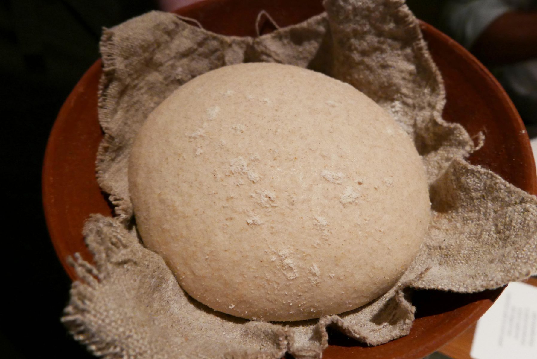 Bread dough (the grilled bread pictured in the very first image)