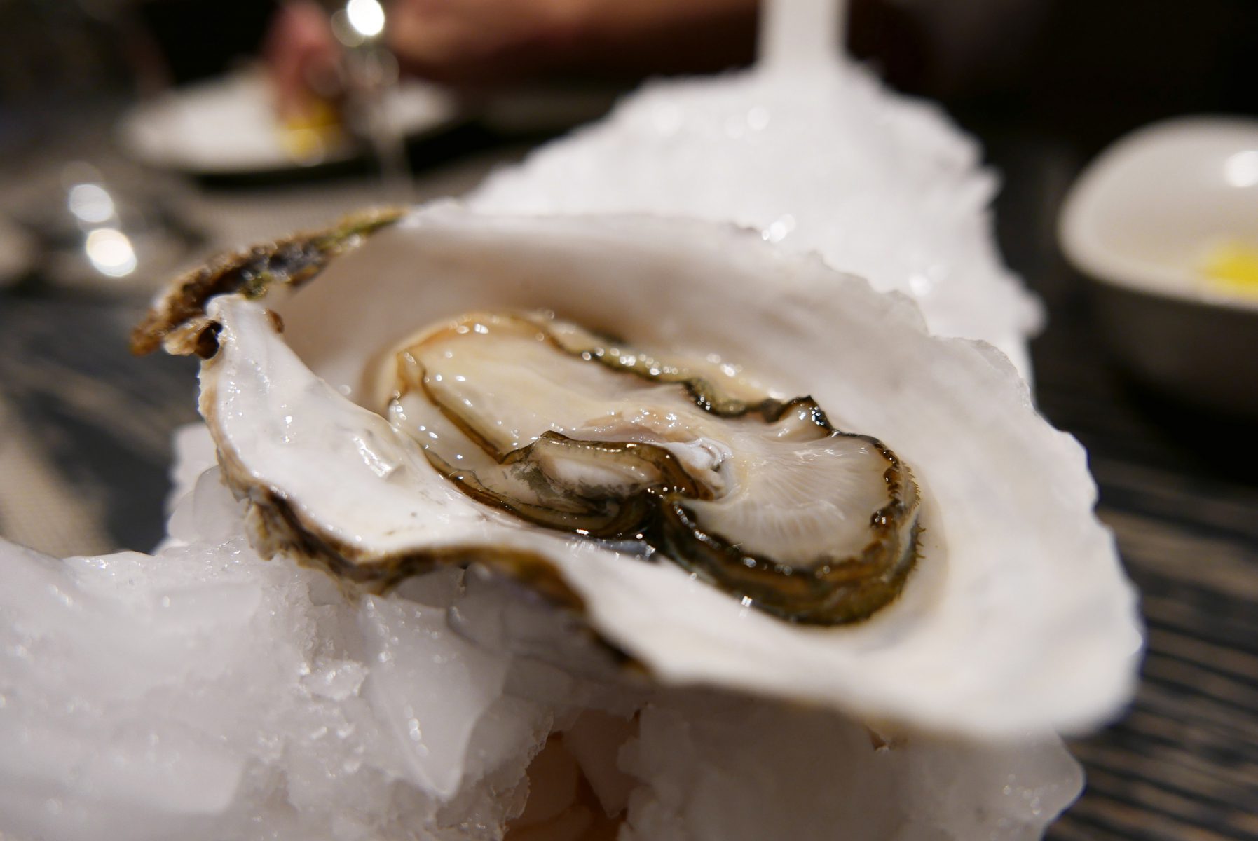 Oyster