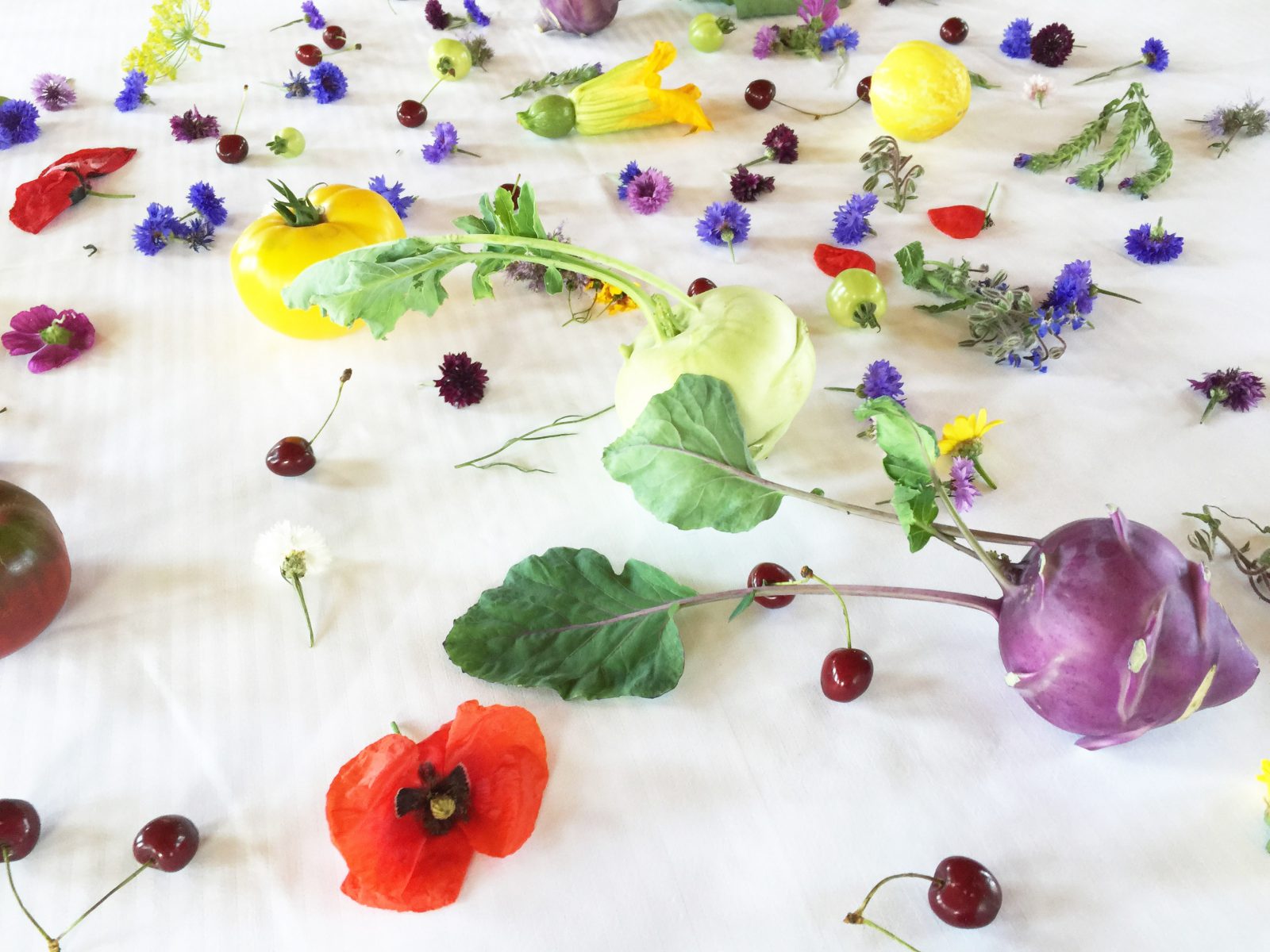 Table decoration at Alain Passard's garden near Paris, back in summer 2015