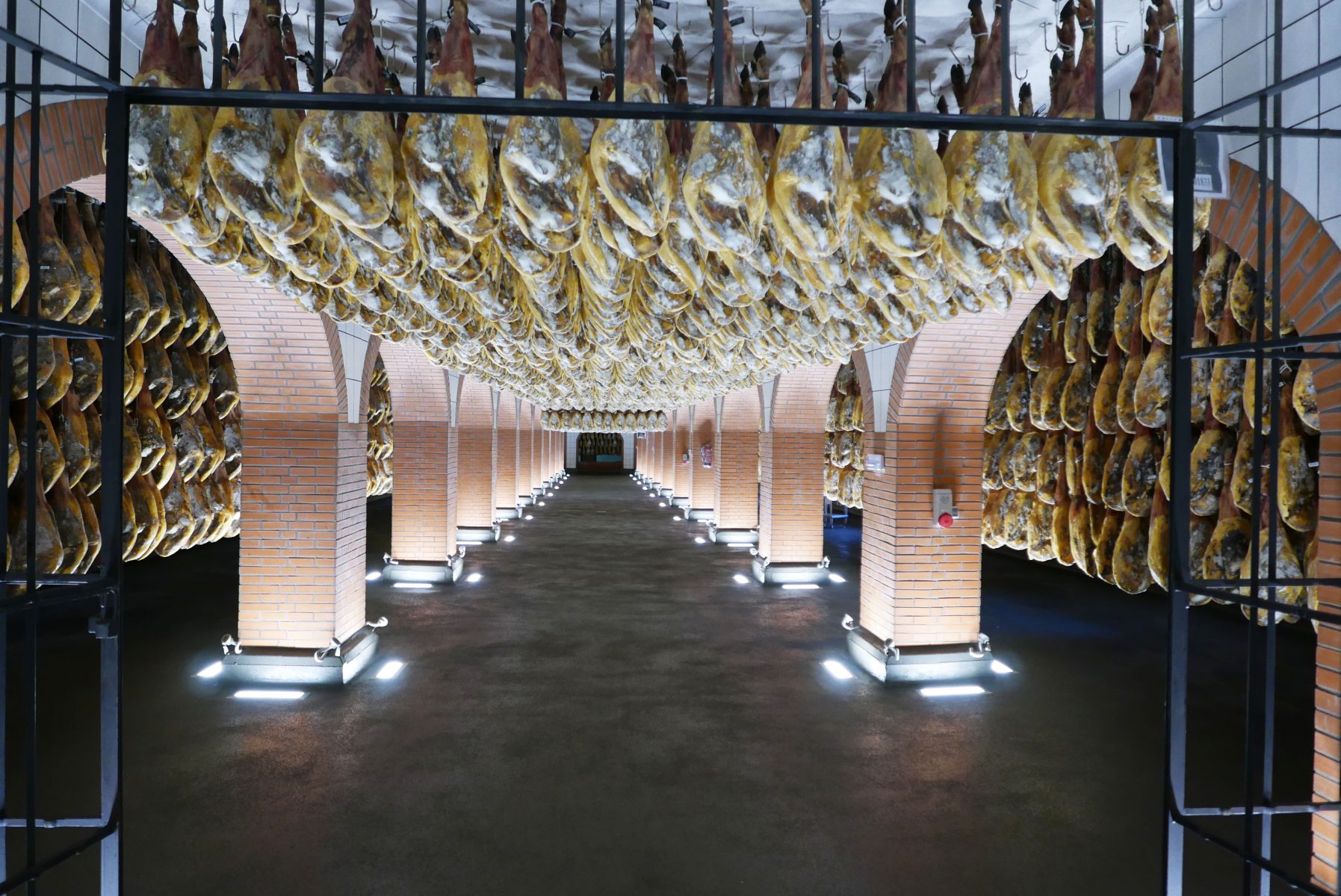 Cinco jotas bellota ham curing cellar