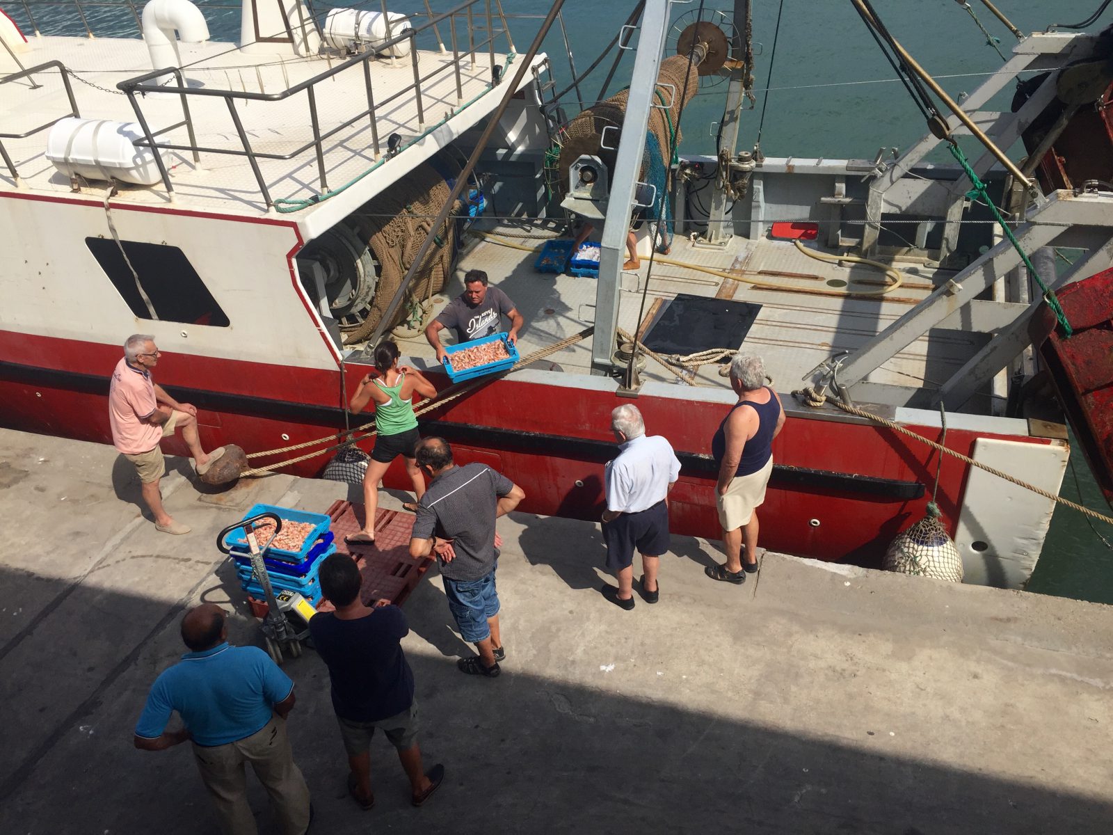 It's at 5-6 pm that fishing boats come back to the port of Denia. They usually stay in the sea for around 11-12 hours shift.