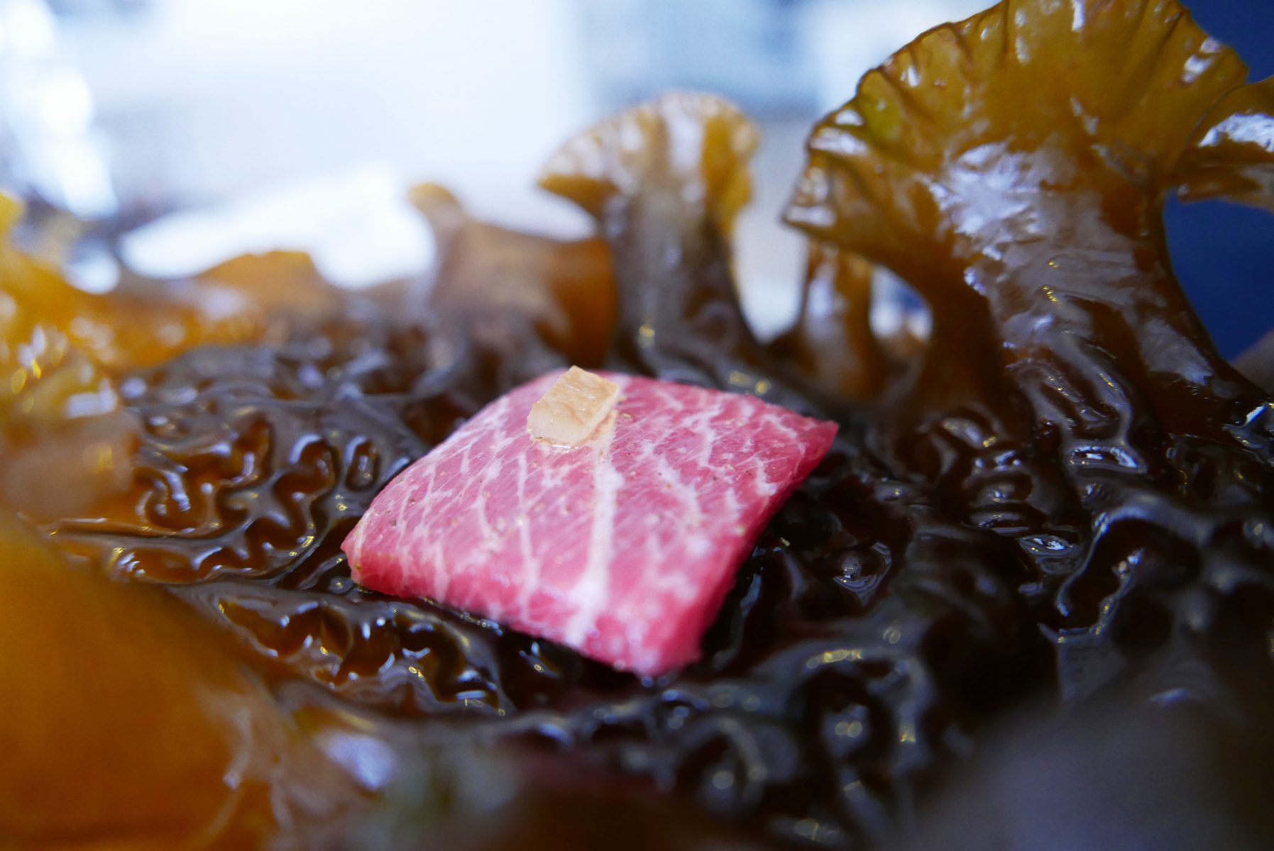 Red tuna belly aged between sugared kombu and mechoui