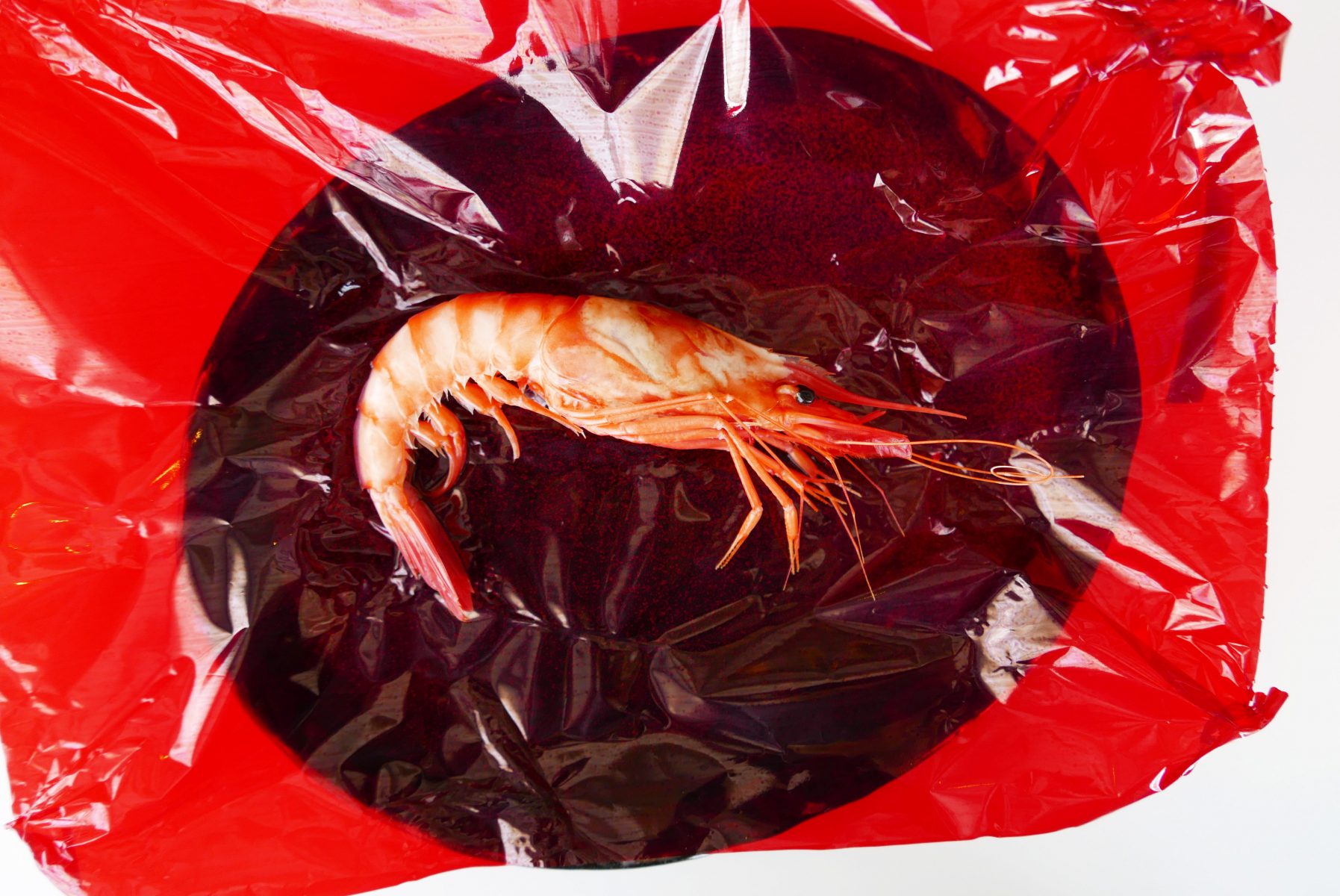 Seawater boiled gamba roja