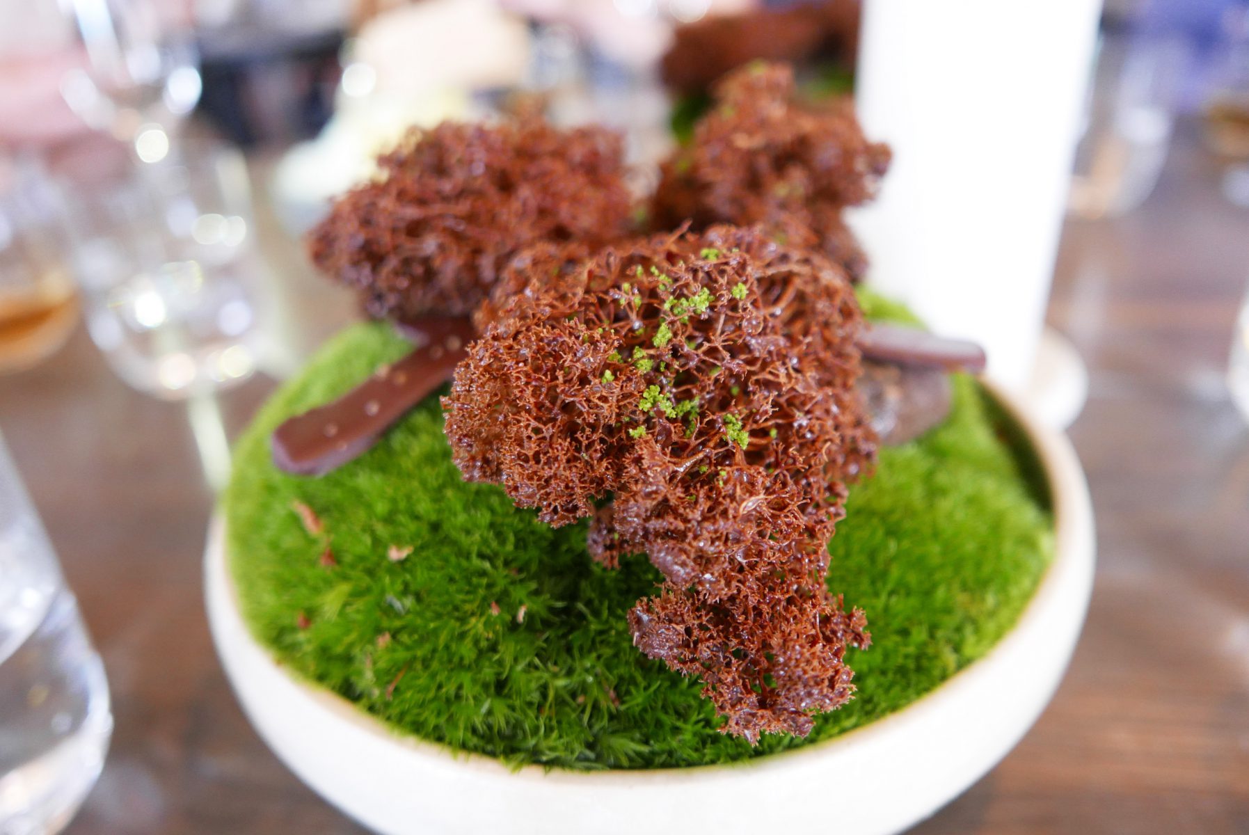 Moss cooked in chocolate