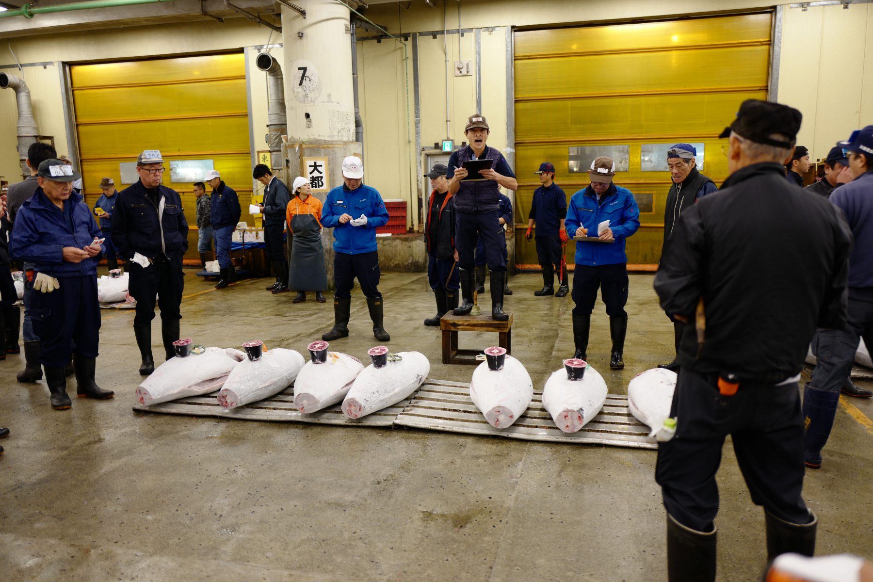 Frozen tuna auction at Tsukiji market