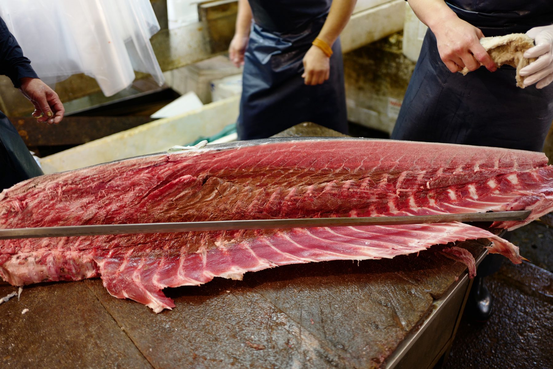 Tuna at Yamayuki stand