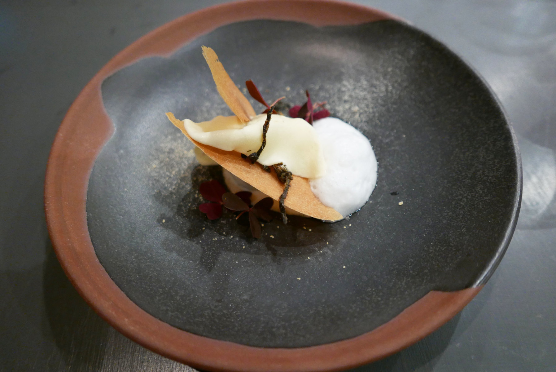 Beetroot sorbet with cake, molasses syrup, rhubarb, juice of sloes and green juniper