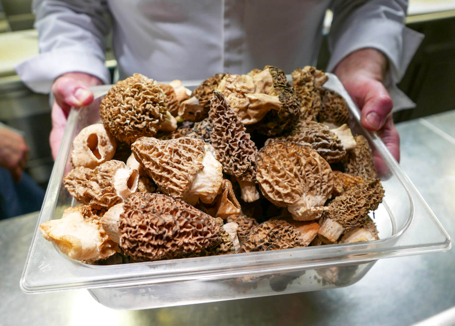 Morels at TABLE in Paris