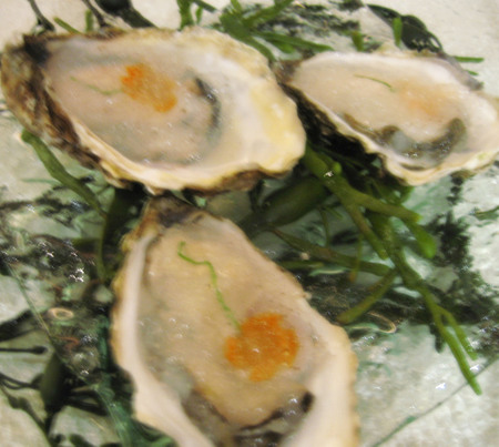 oysters