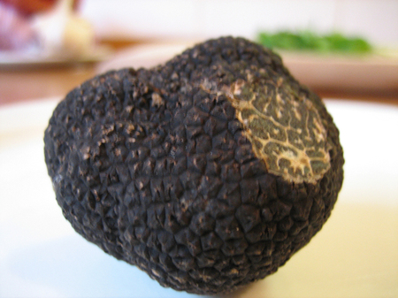 Black truffle