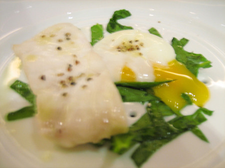 turbot