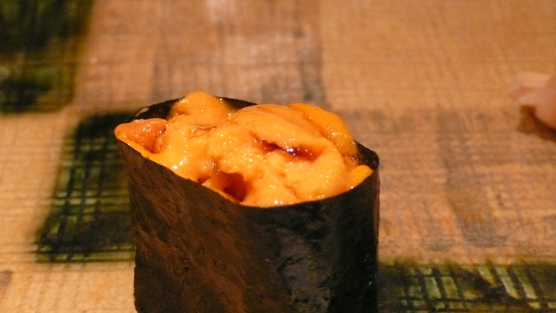 sea urchin and seaweed