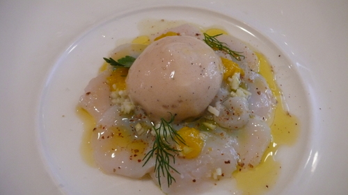 scallops carpaccio with mango