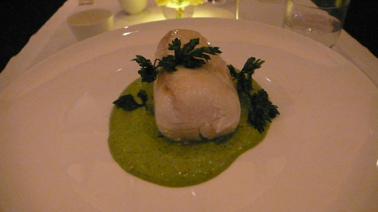 halibut with parsley cream