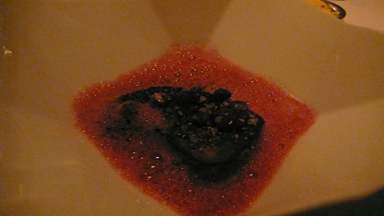 an-seared foie gras, fall spices and concord grape