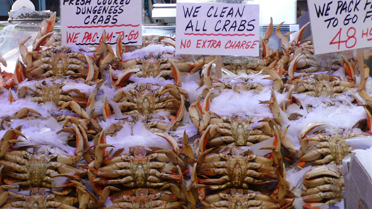 Seattle Farmers Market