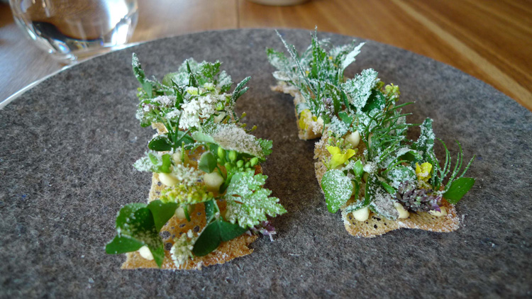 bread toasts  with herbs and vinegar dust