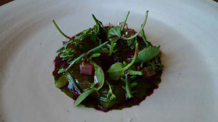 Shrimps with seaweed and rhubarbs