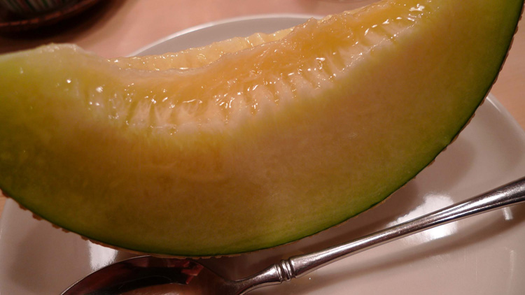 Melon