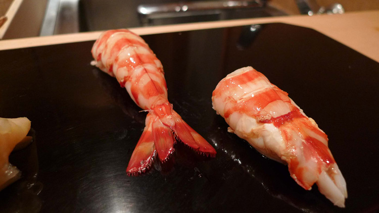 Shrimp