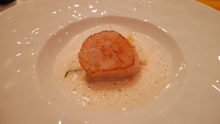 Scallop 