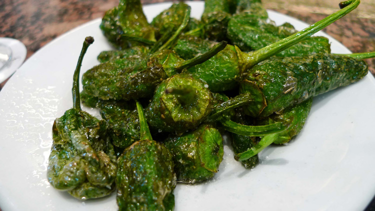 Fried green peppers with coarse salt