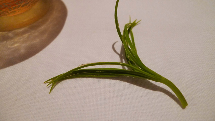 Pine nuts shabu- shabu.