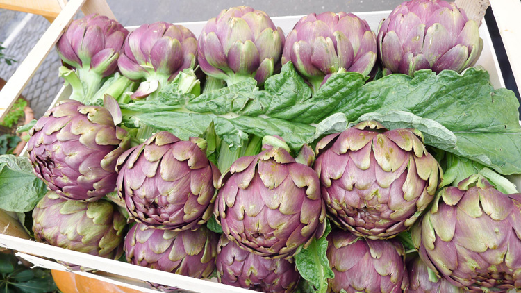 Romanesco artichokes