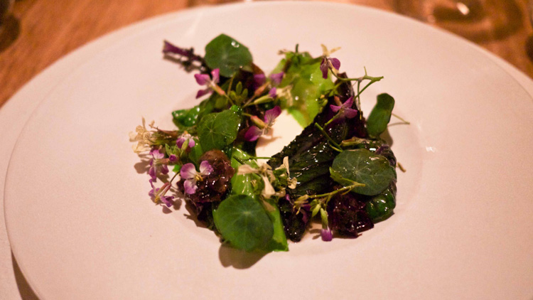 fresh cheese with cooked cabbage and herbs