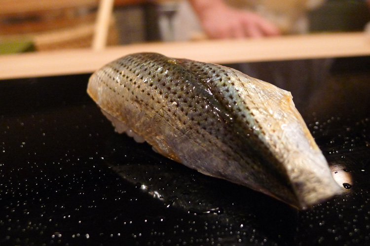 Kohada (gizzard shad)