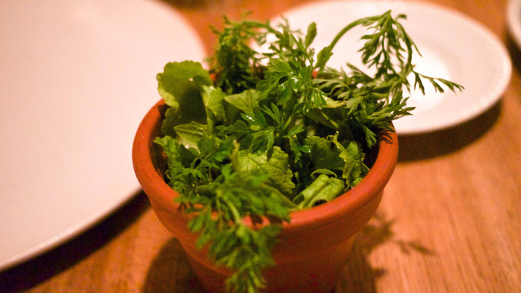 carrots in a pot