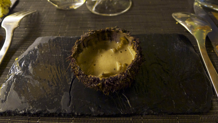 Sea urchin with coffee