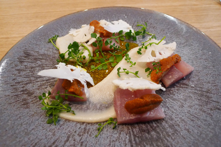 Raw mackerel, sea urchin and cauliflower