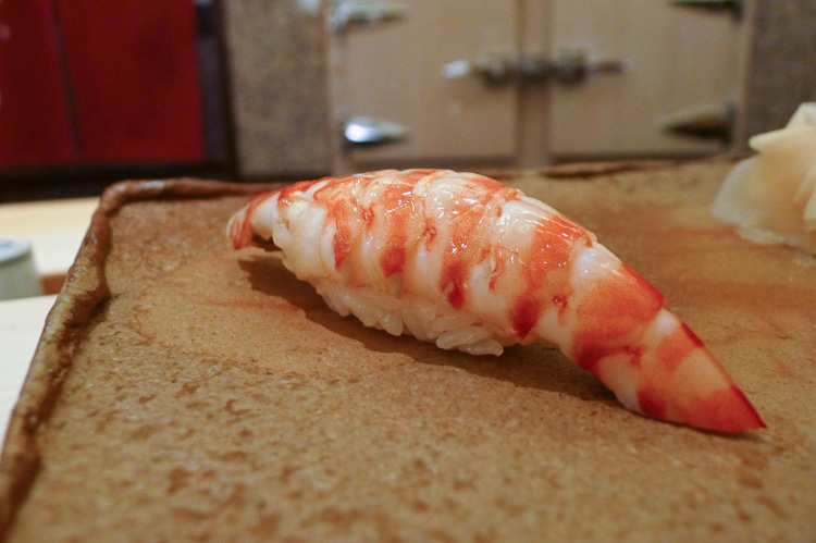 Imperial shrimp