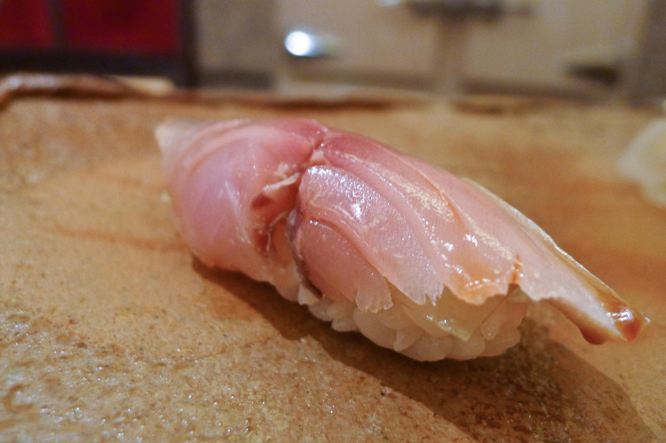 Horse mackerel