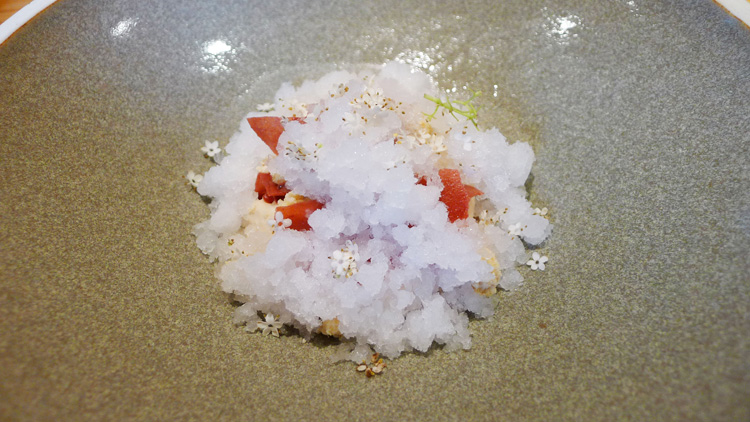 elderflower snow with rhubarb