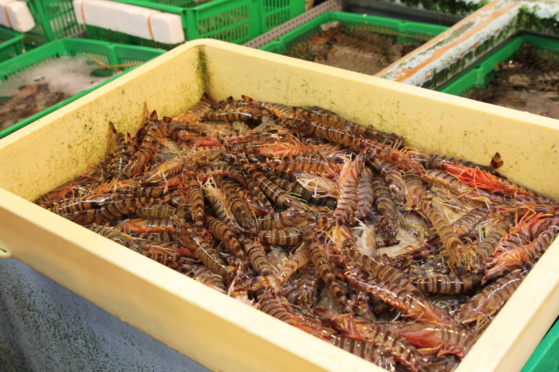 Tsukiji market