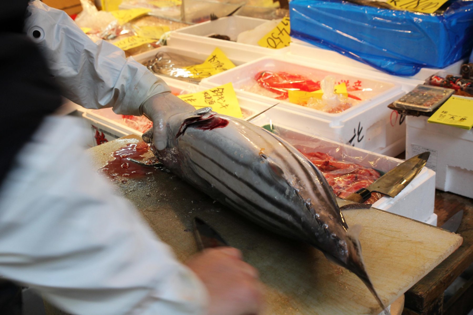 Tsukiji market