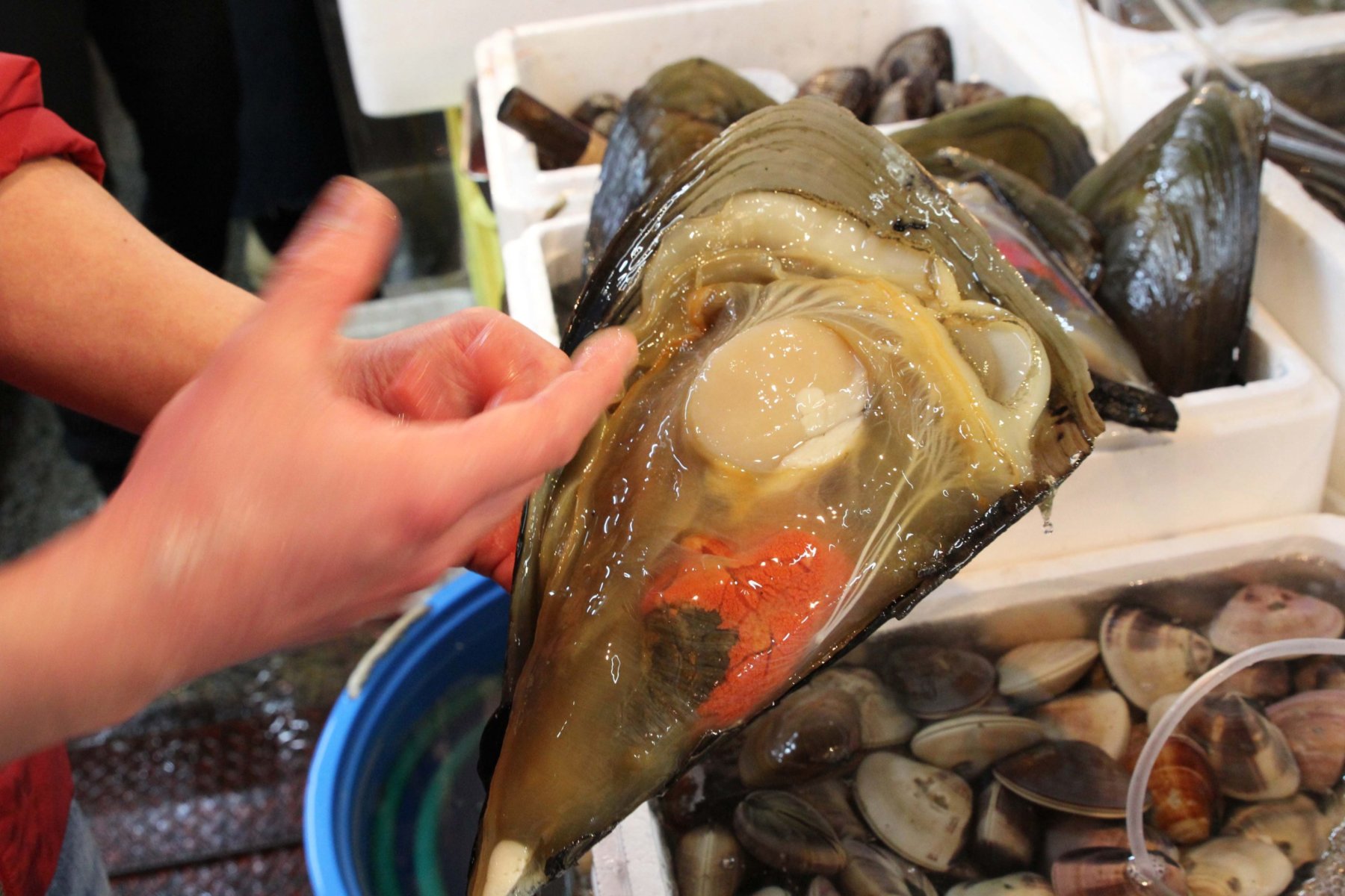 Tsukiji market