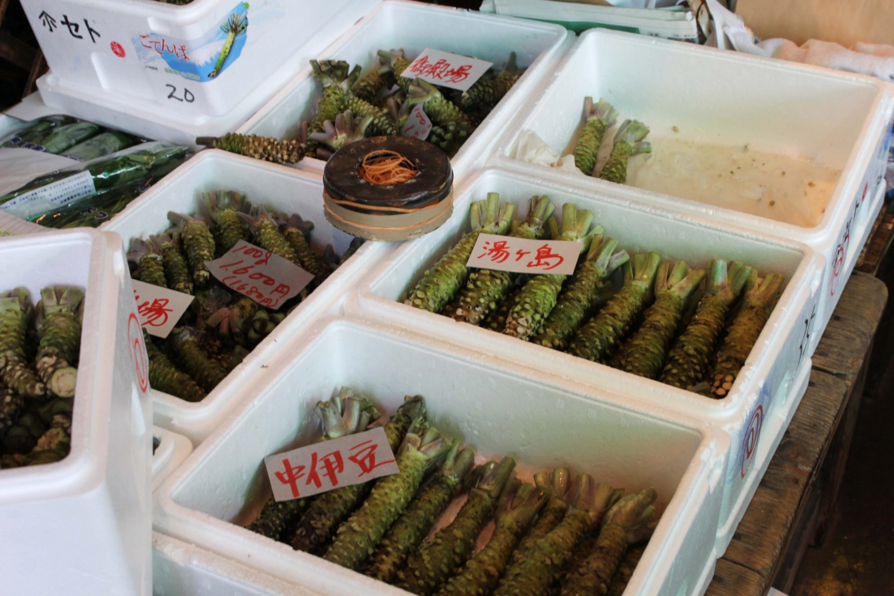 Tsukiji market