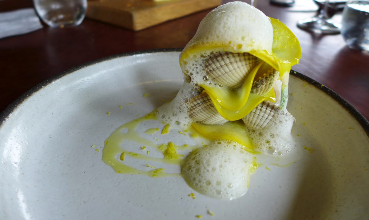 Cockles with yellow squash and lemon