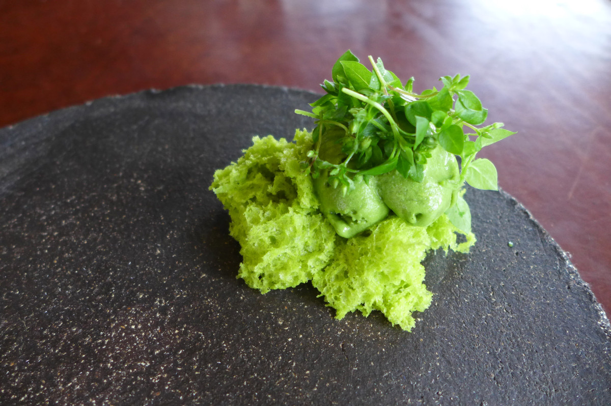 Avocado and pistachio sponge cake, avocado and grass sorbet