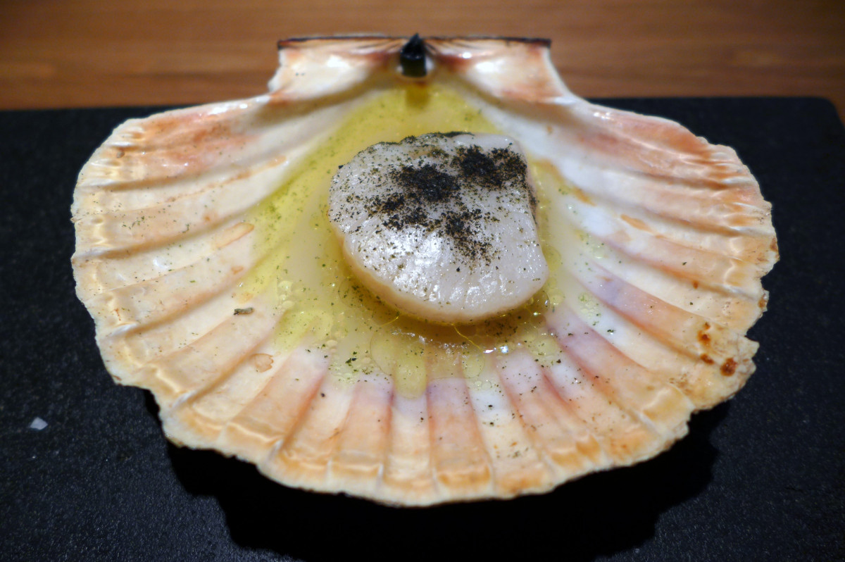 Scallop