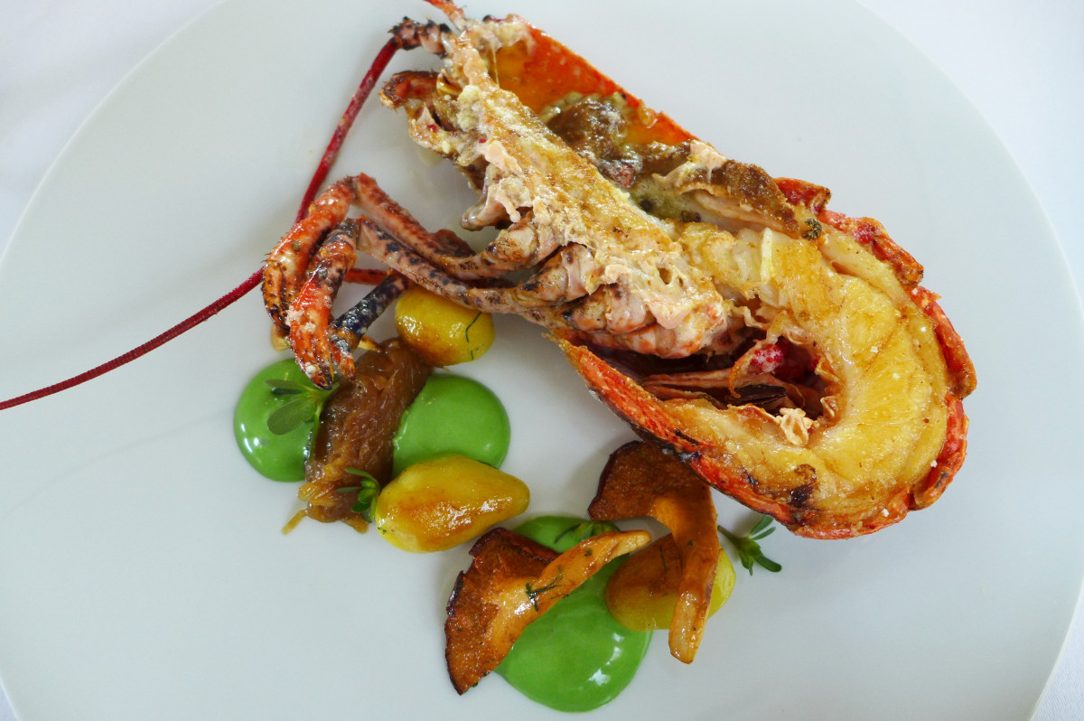 lobster with chanterelle mushrooms, new potatoes and parsley sauce