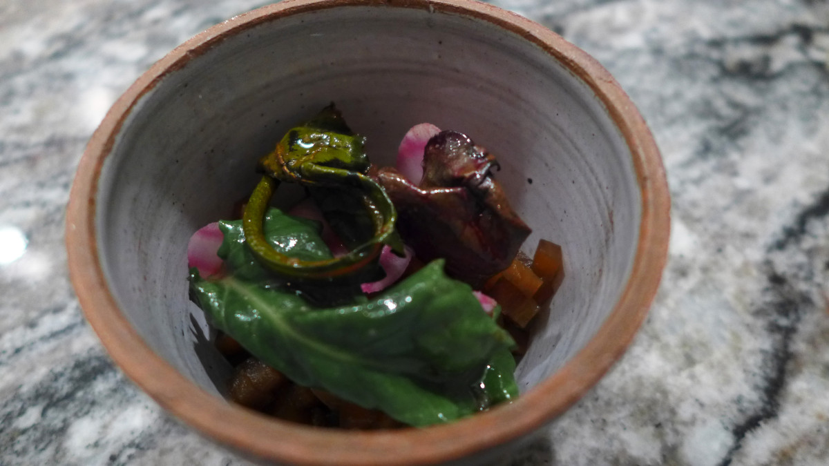 Fermented yellow beet, salt baked red beet and raw candy beet with goats yoghurt and cheese.