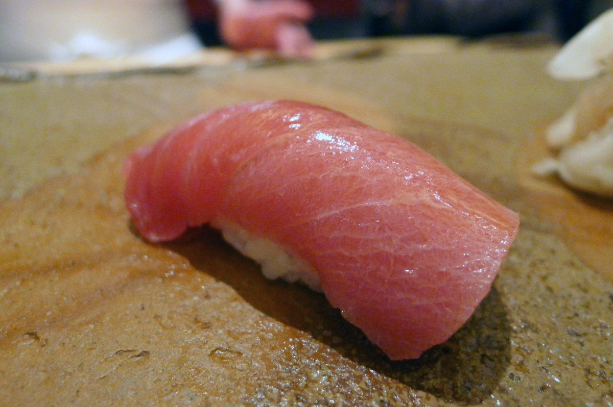 Chu-toro sushi at Sushi Saitou