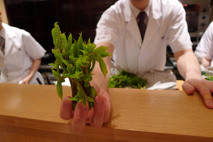 Wild plants from mount Fuji